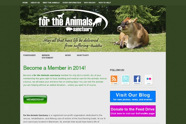 Lysa theme site design template sample