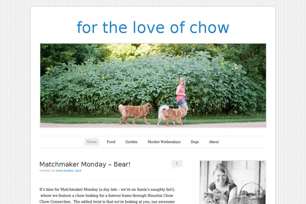 Site using Alpine PhotoTile for Instagram plugin