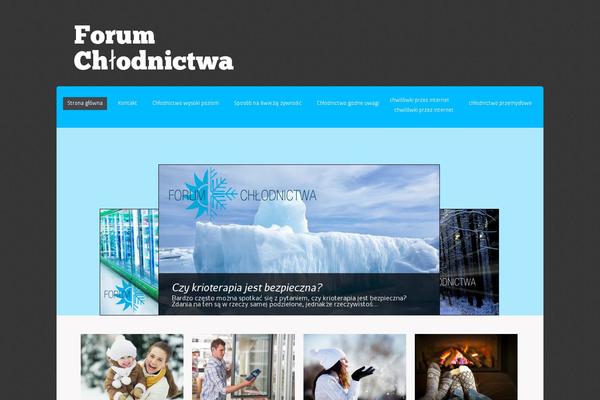 Themealley theme site design template sample