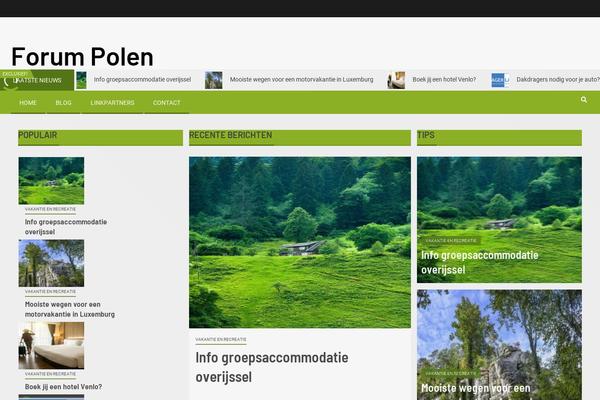 Newsever theme site design template sample