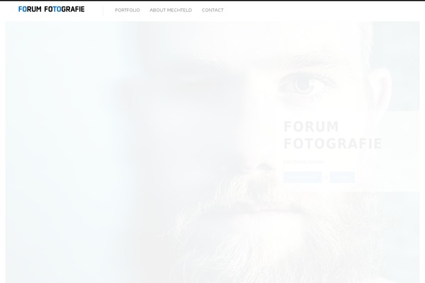 Fluxus theme site design template sample