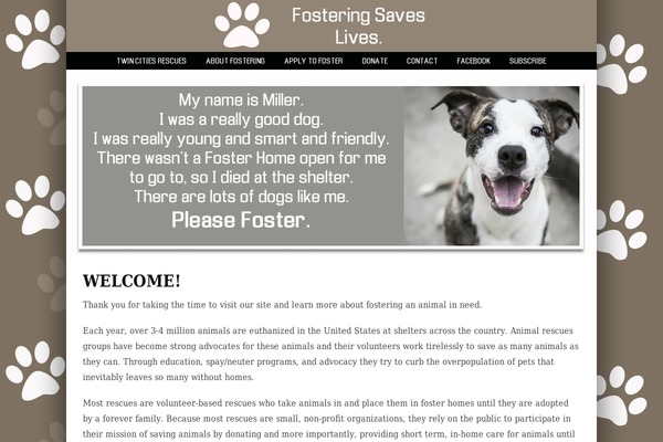 Prophoto4 theme site design template sample