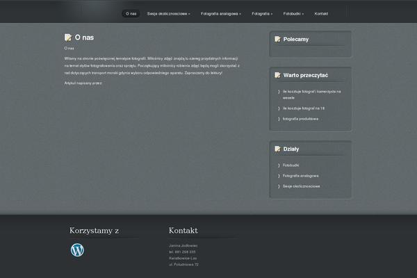 Site using Easy Custom Auto Excerpt plugin
