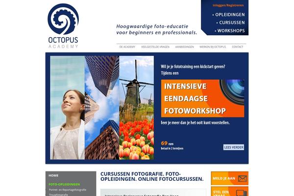 Shopic-child theme site design template sample
