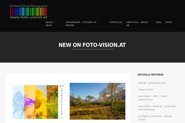 Story theme site design template sample