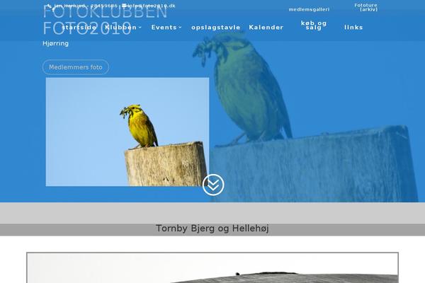 Site using Wp-and-divi-icons-pro plugin