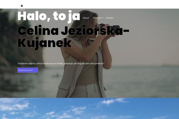 Ashe-pro-premium theme site design template sample