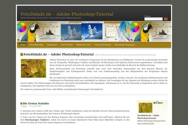 Fallseason theme site design template sample