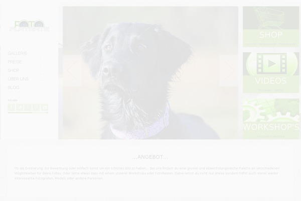 Socha theme site design template sample