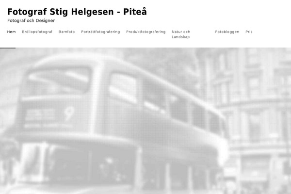 Ally theme site design template sample