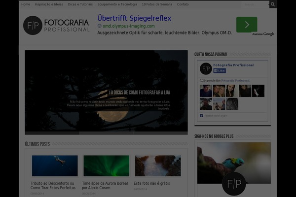 Site using Flying-pages plugin