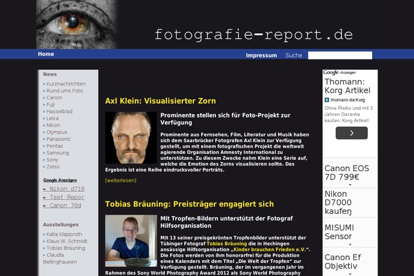 Wp Multiflex 3 theme site design template sample