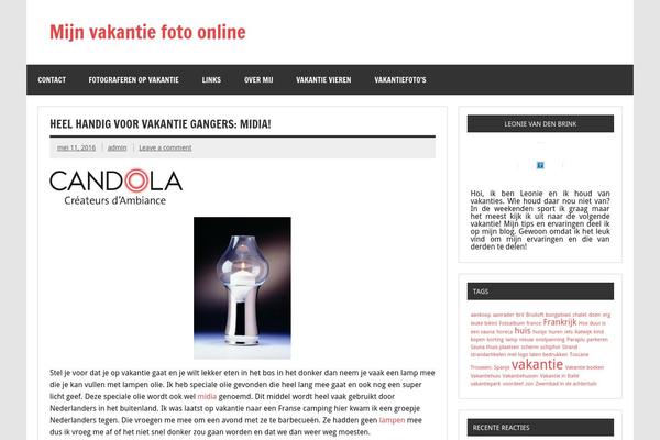 Dynamic News Lite theme site design template sample