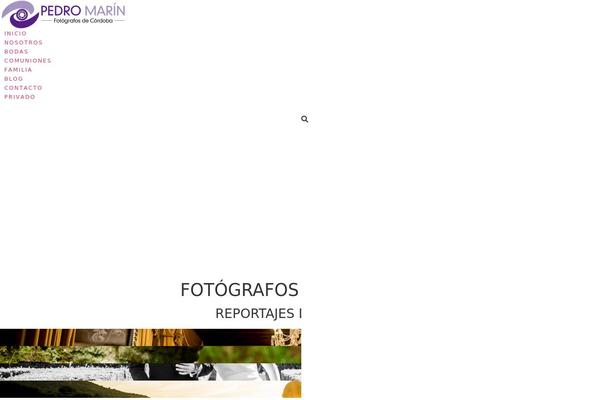 Aspire-pro theme site design template sample