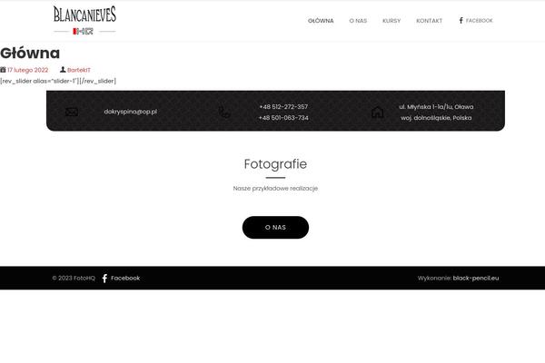 Shoestrap 3 theme site design template sample