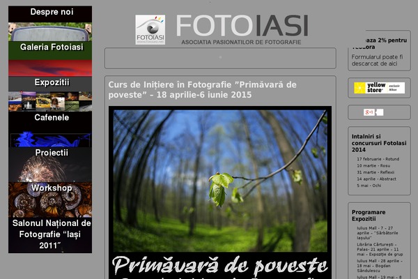 Picture Perfect theme site design template sample
