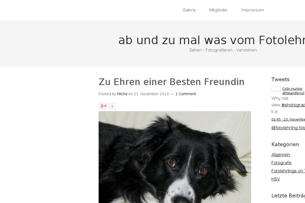 Di-basis theme site design template sample