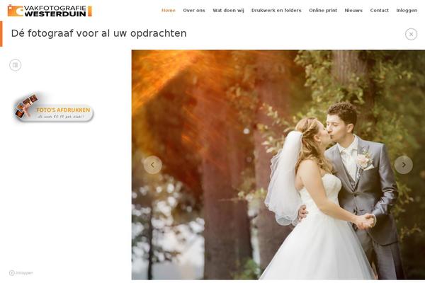 Gt3-wp-frame theme site design template sample