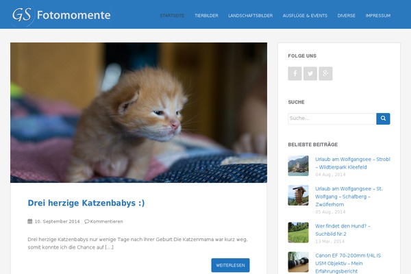 Sparkling theme site design template sample
