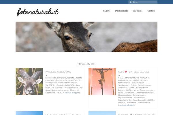 Virtue Premium theme site design template sample