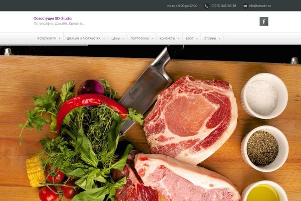 Netstudio-wp theme site design template sample