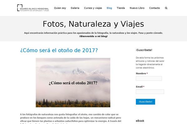 Consultup theme site design template sample