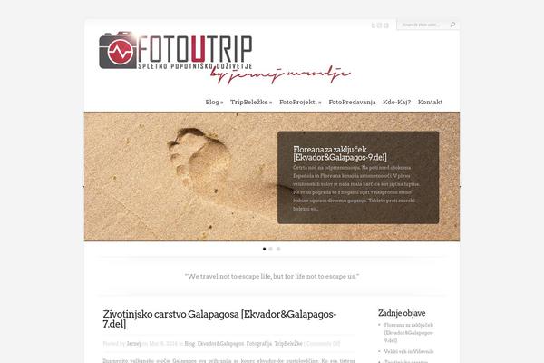 Chameleon theme site design template sample