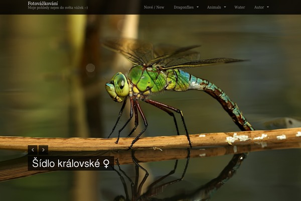 fotovazkovani.cz site used Lensa