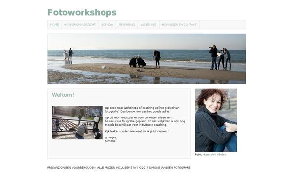 Asokay theme site design template sample