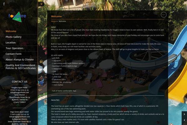 Analytical Lite theme site design template sample