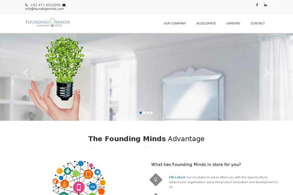foundingminds.com site used Skt-clean-pro