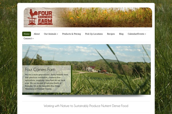 ColorWay theme site design template sample