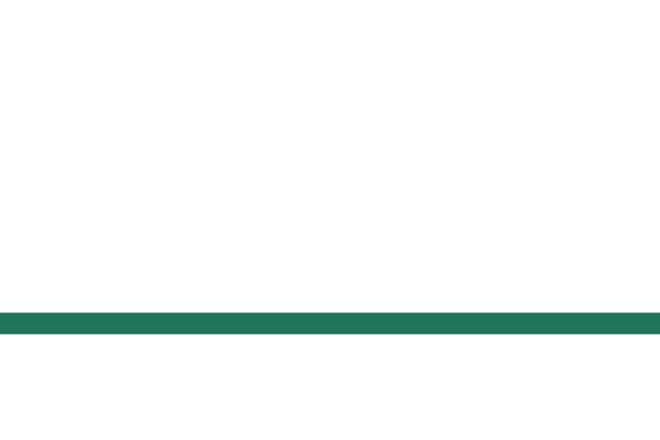 Site using Jet-tricks plugin