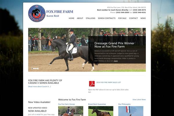 Solid Wp theme site design template sample
