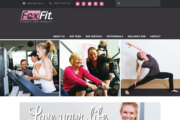 Fit Wp theme site design template sample