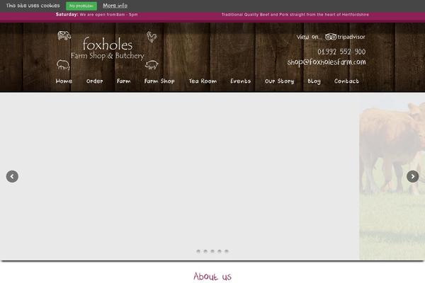 Site using Better WordPress Minify plugin