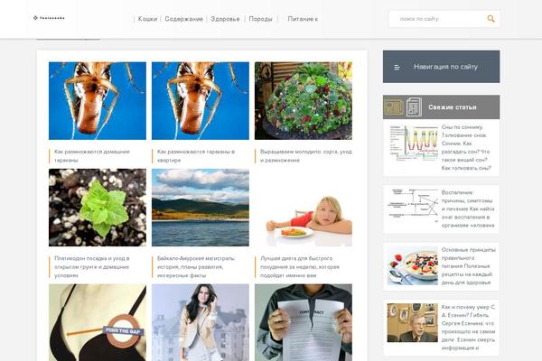 foxinsocks.ru site used Kuzov