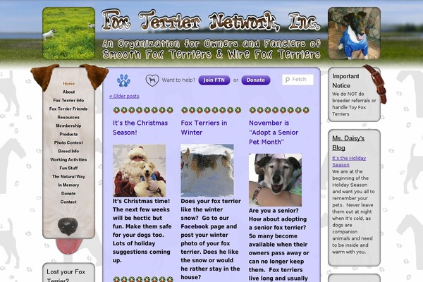 Shape theme site design template sample