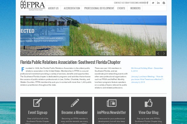 Incipiens theme site design template sample