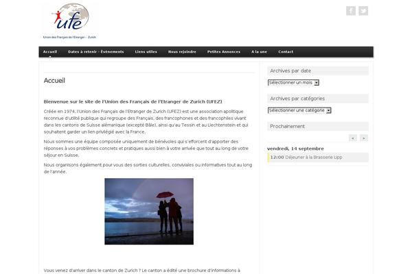 Premium Style theme site design template sample