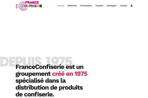 Bridge Child theme site design template sample