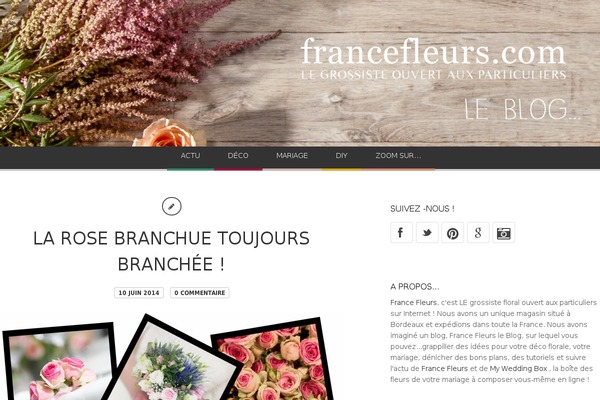 Bloggy theme site design template sample