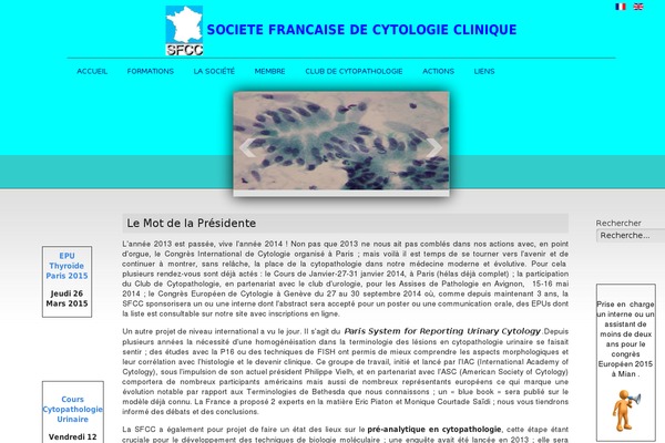 Site using Cf7-conditional-fields plugin