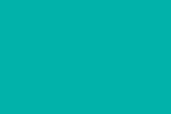 Auditing theme site design template sample