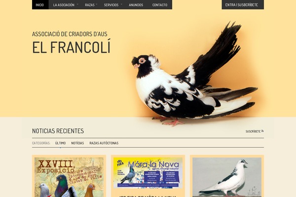 Editorial theme site design template sample