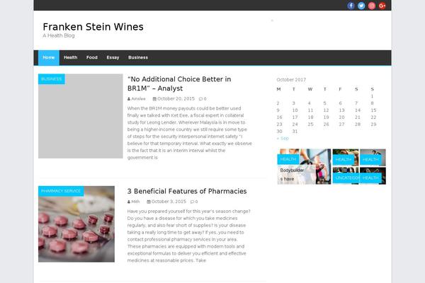 Metro Pro theme site design template sample