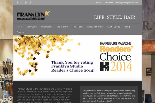 Franklyn theme site design template sample