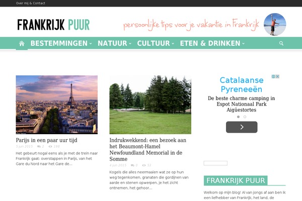 Newspaper theme site design template sample