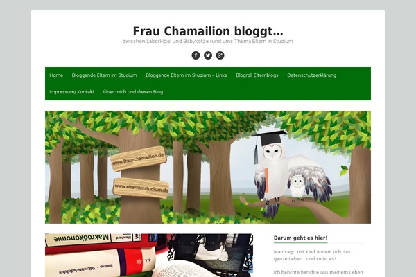 The-box-plus theme site design template sample