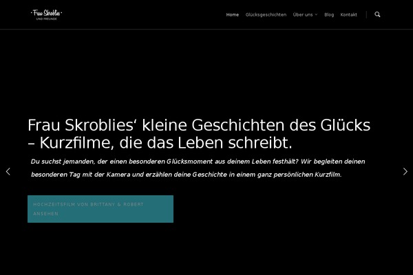 Salient theme site design template sample